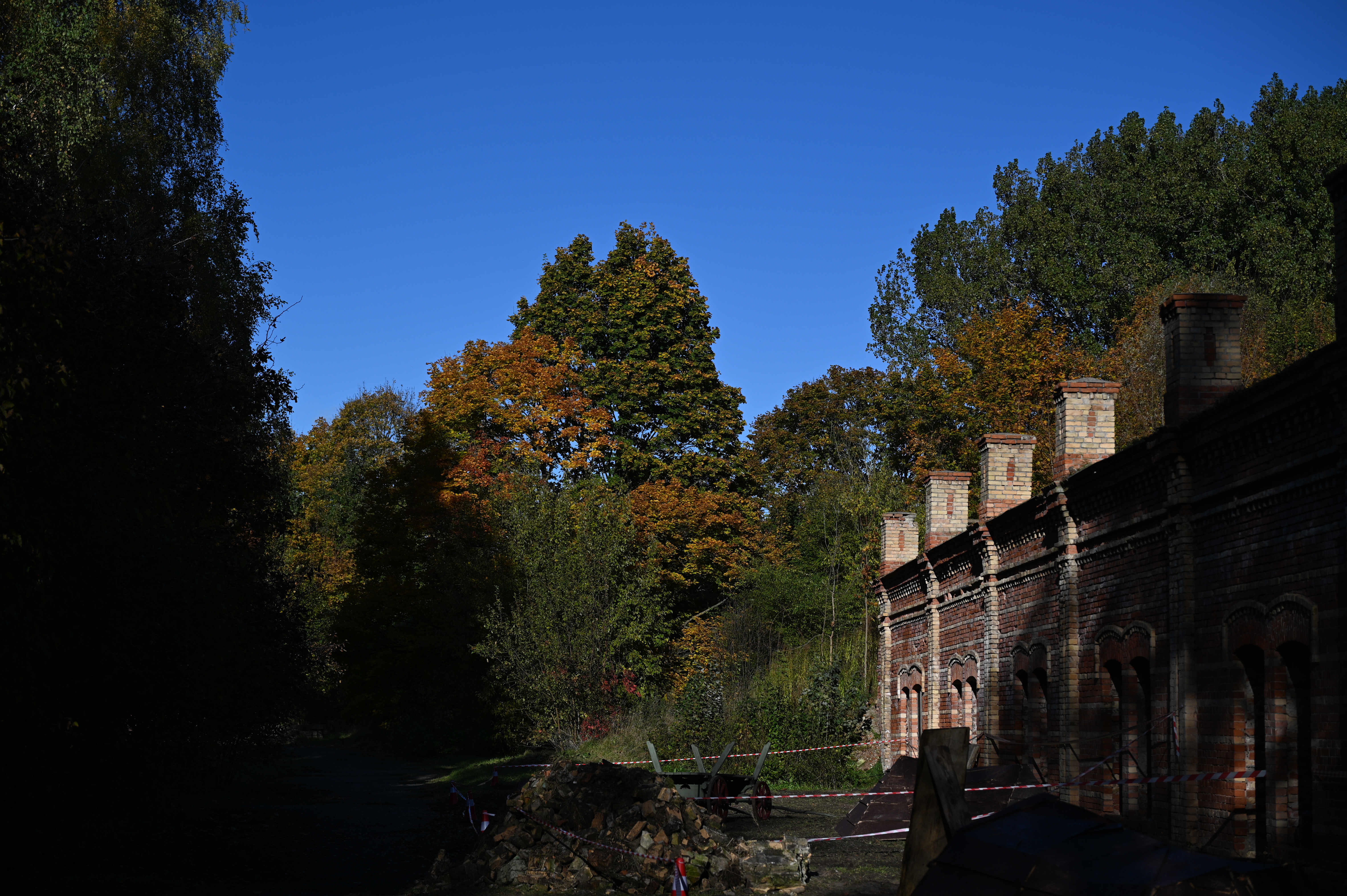 2025/10/18 - walk/DSC_0029.JPG